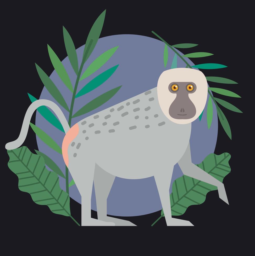 baboon monkey in frame vector