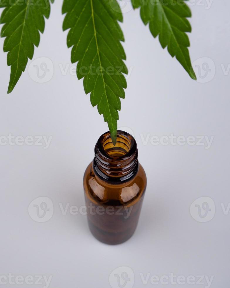 medicinal hemp essential oil and green leaf with bottle. photo