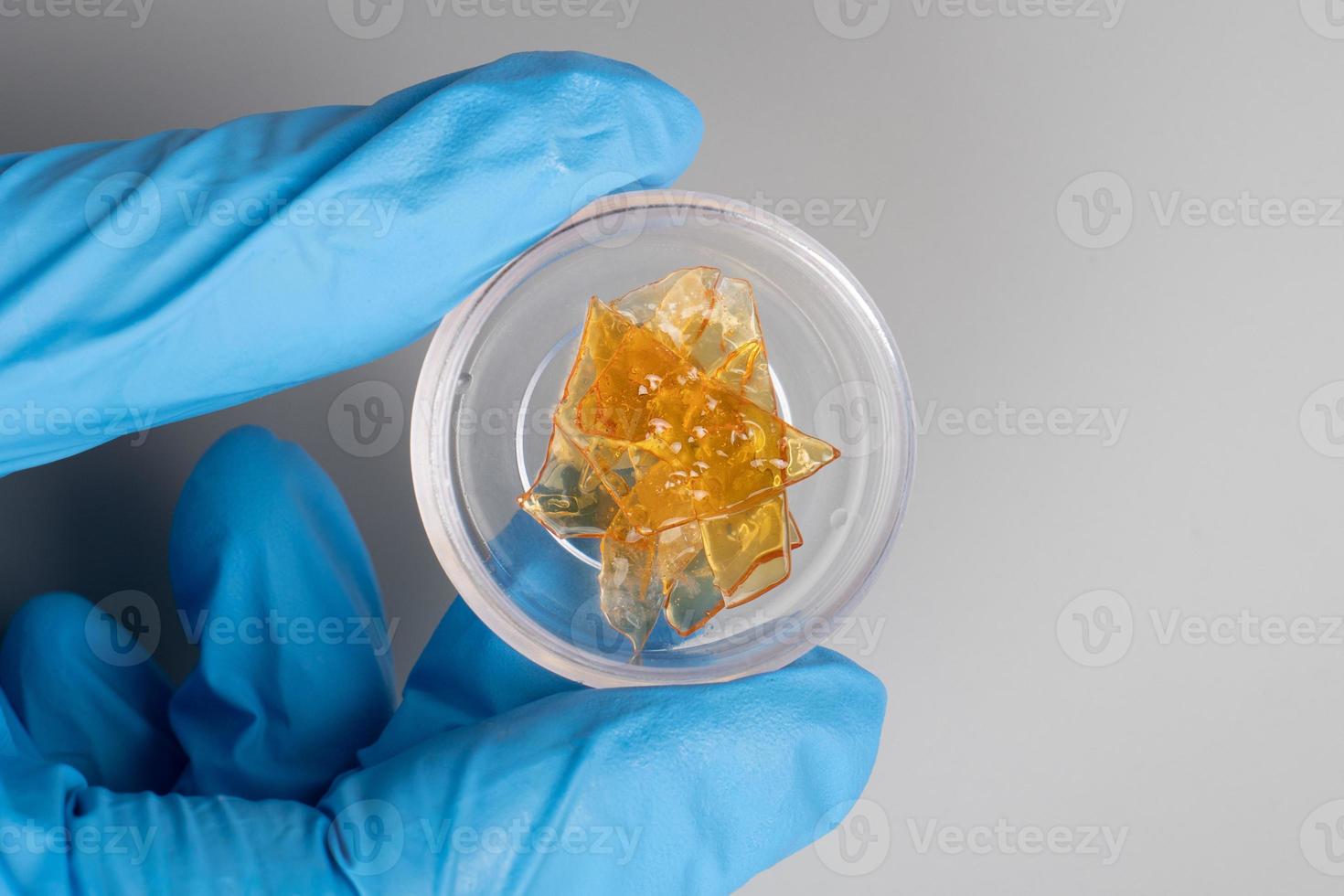 golden resin cannabis, marijuana drugs weed with high thc photo
