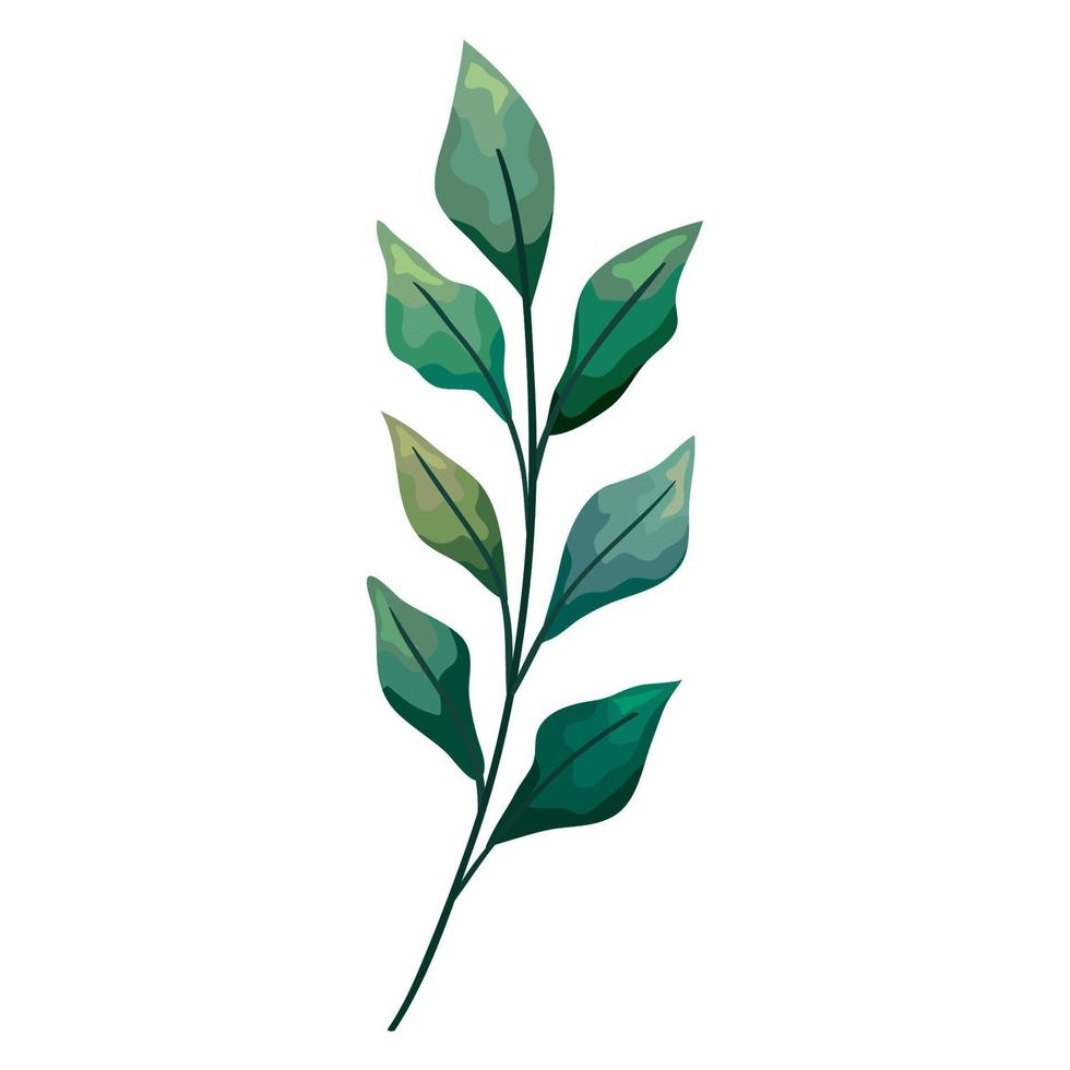 branch with leafs vector
