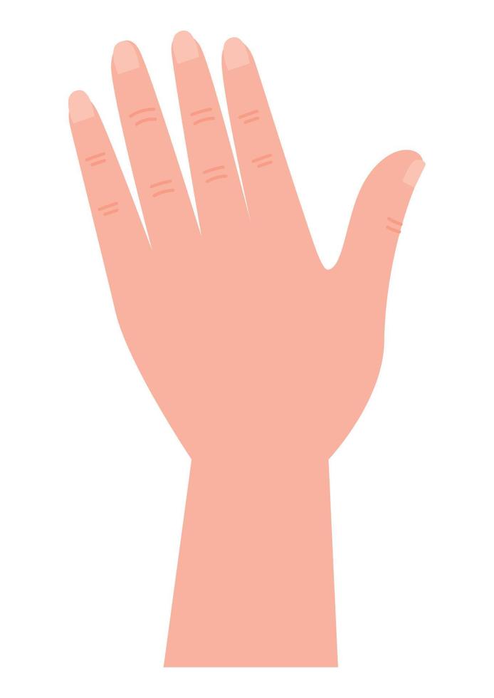 hand human open vector