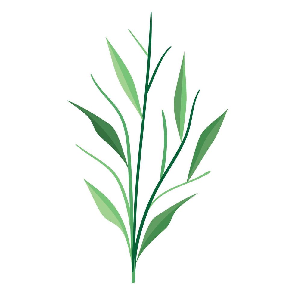 spring branch with leaves vector