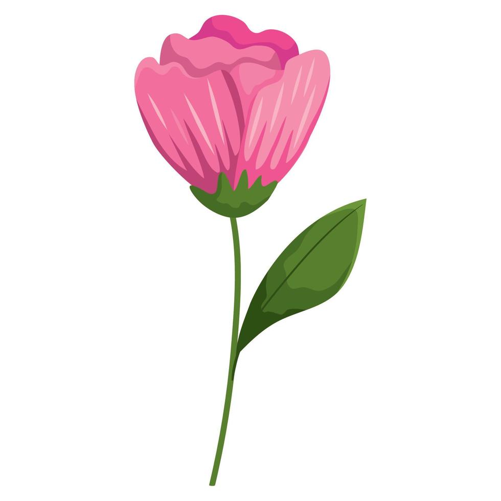 rose flower decoration vector