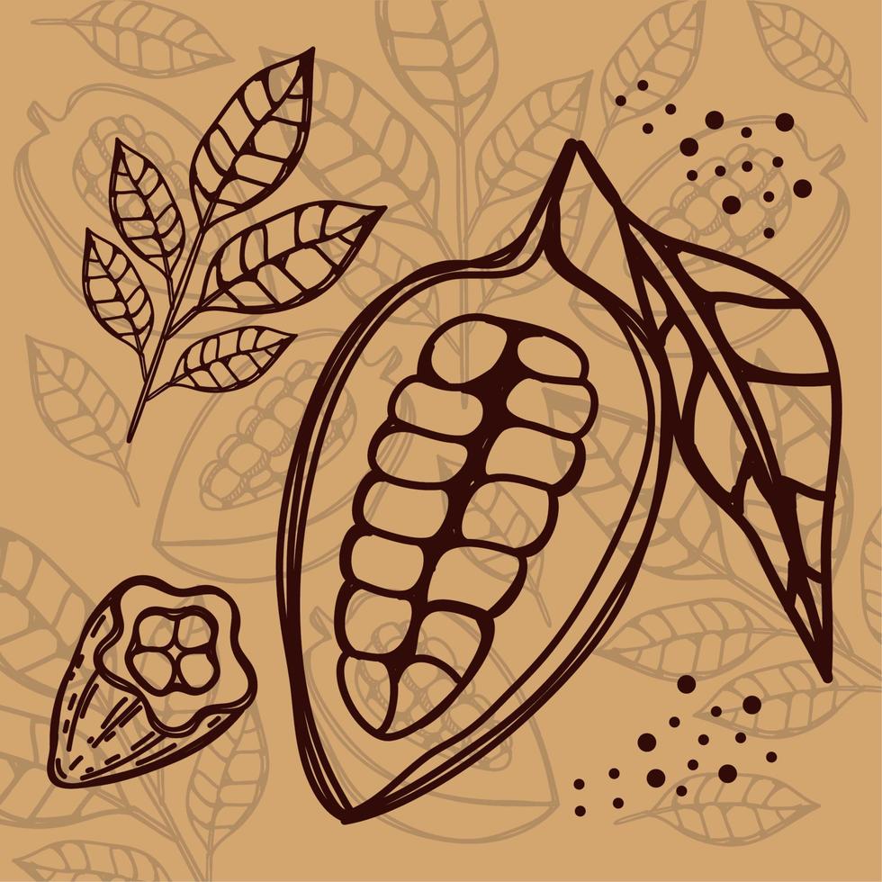 hojas y frutos de cacao vector
