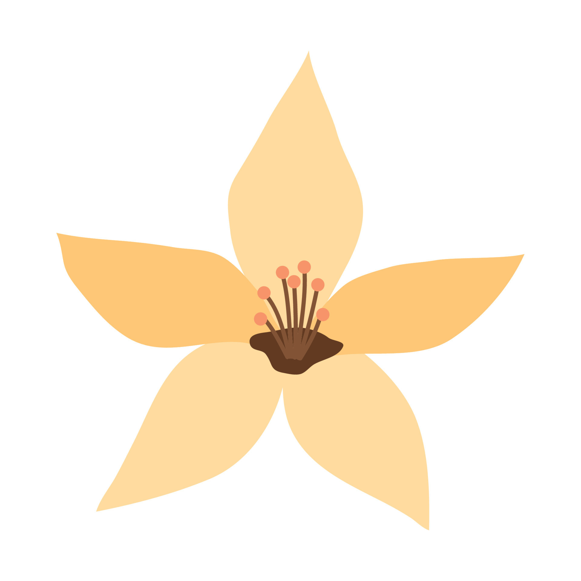 beige flower garden 11375789 Vector Art at Vecteezy