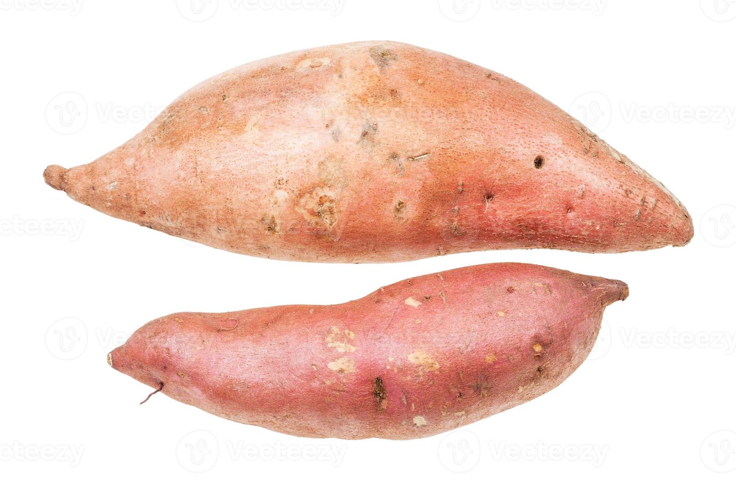 two tubers of sweet potato batata isolated photo