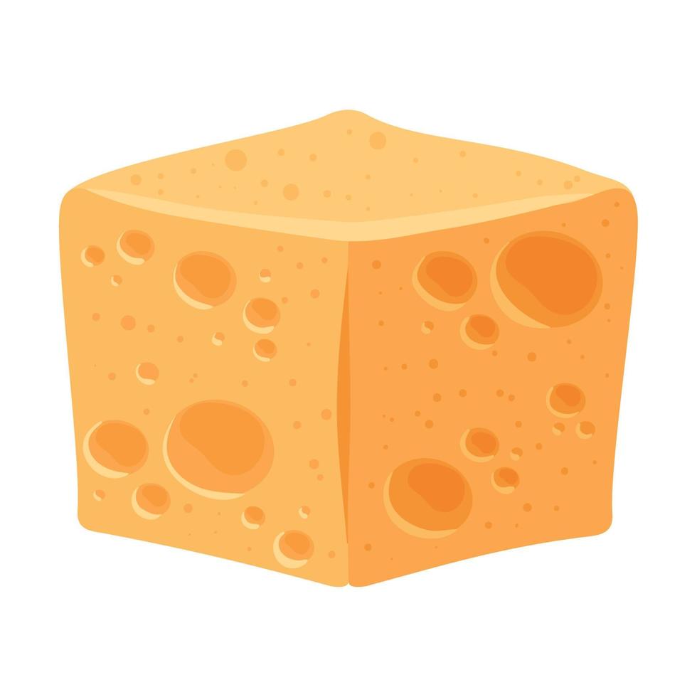 cheese dairy product vector