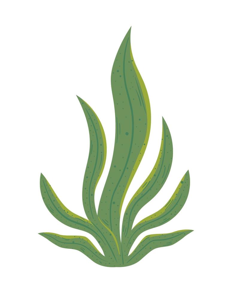 tropical and exotic leaf vector