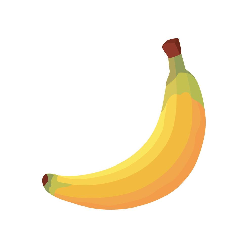 banana fresh fruit vector