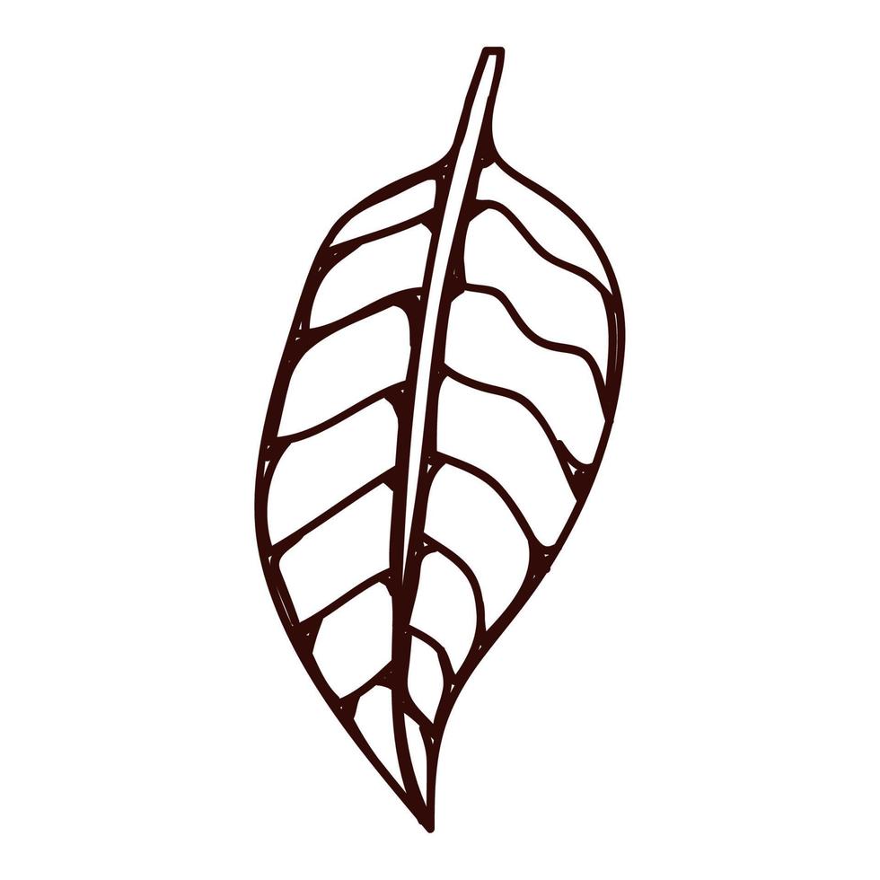 leaf plant foliage sketch vector