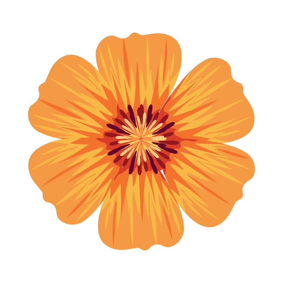 orange flower decoration vector