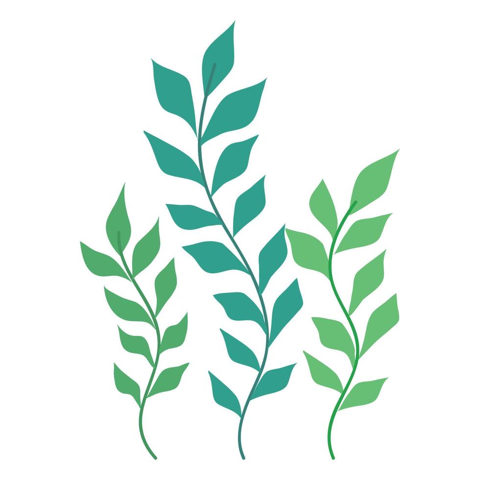 green algaes sealife vector