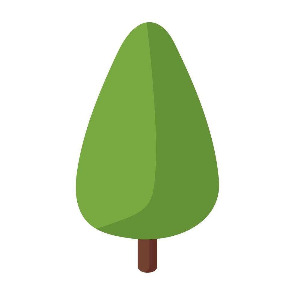 tree isometric pine plant vector