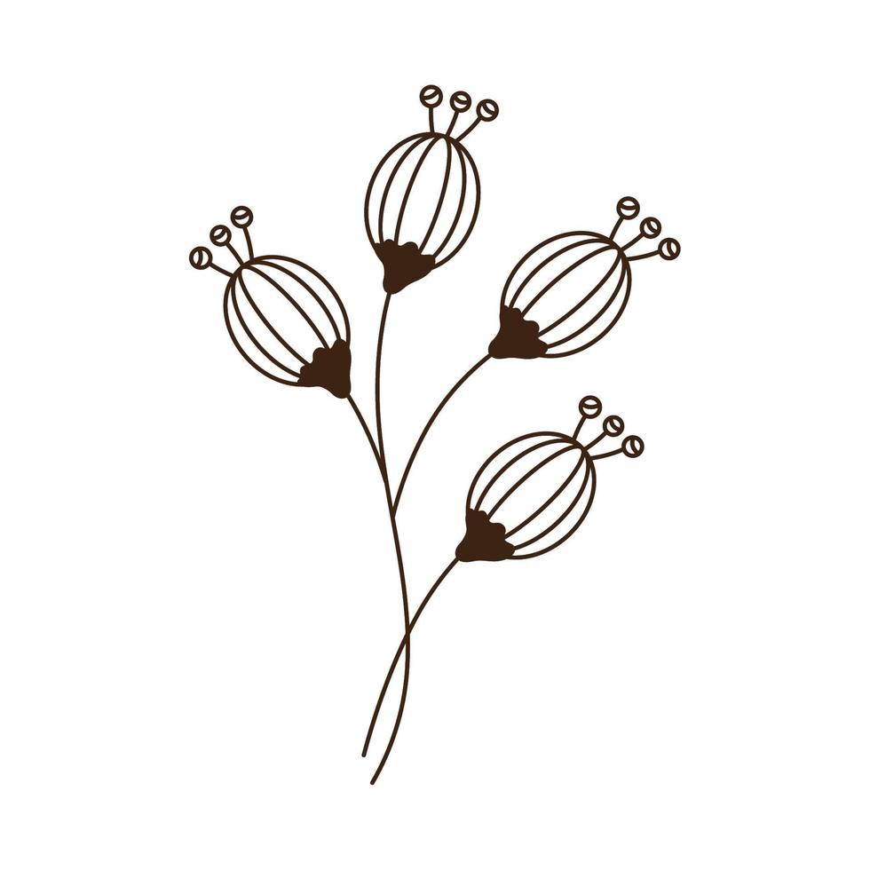four garden flowers vector