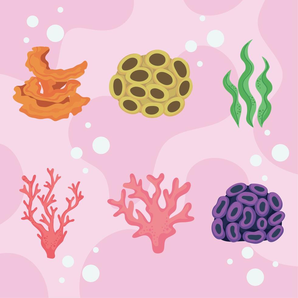 six coral reefs icons vector