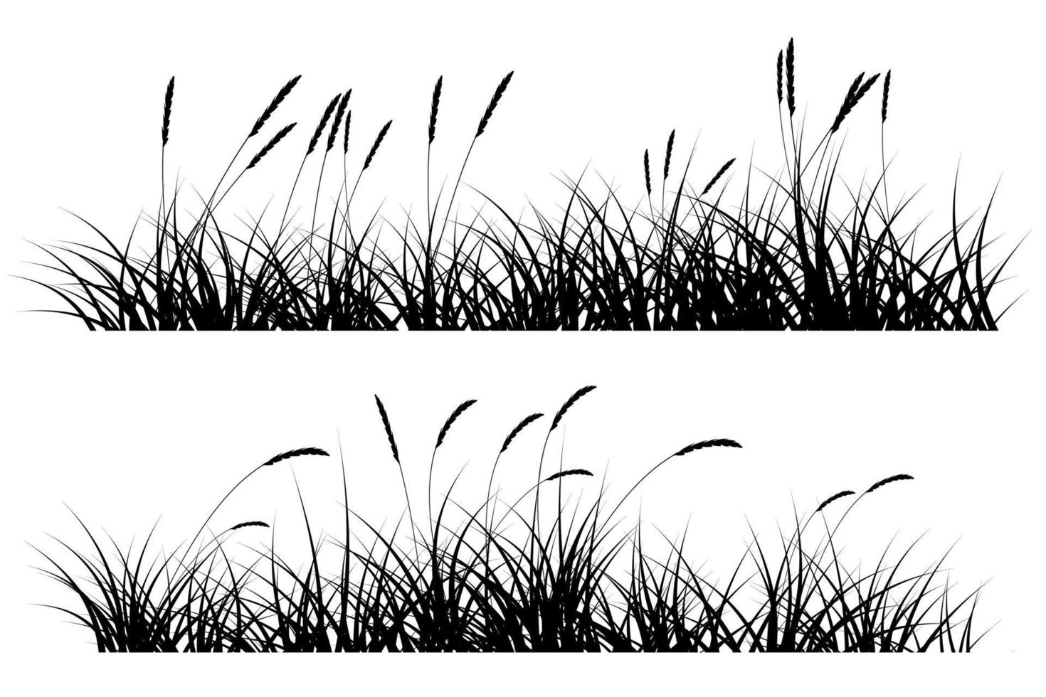 reeds grass silhouette vector