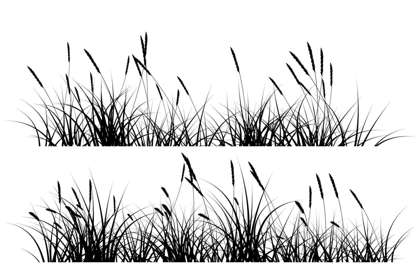 reeds grass silhouette vector