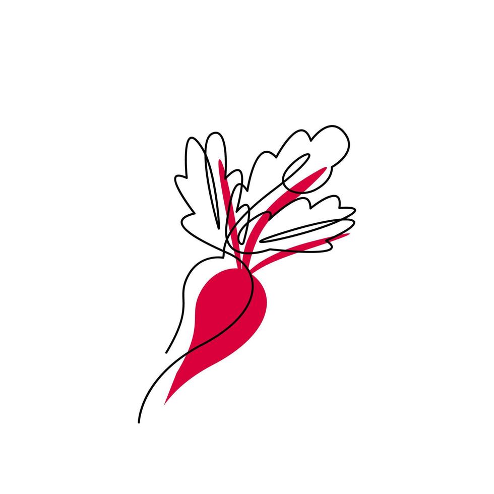Beet black contour drawing with abstract color spot. Continuous vegetable concept design. Organic radish minimalist silhouette. Beetroot hand drawn one line flat vector illustration isolated on white