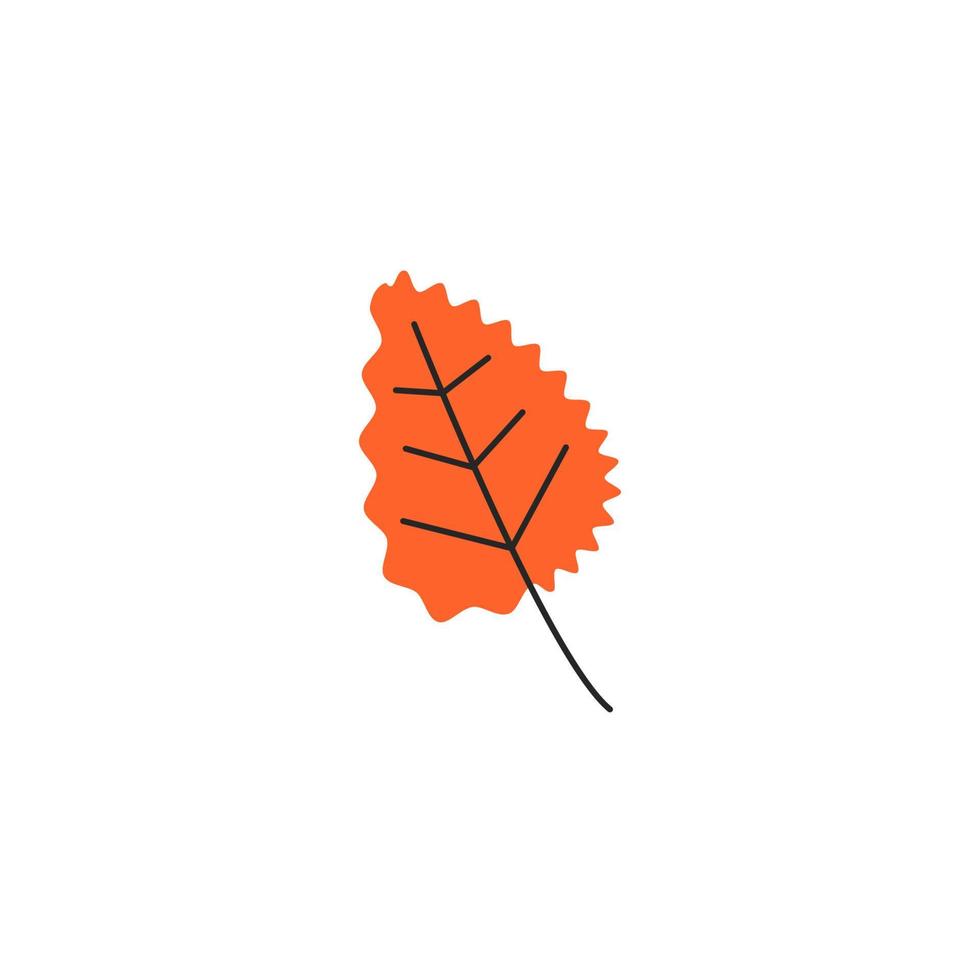 Orange fresh autumn leaf with veins. Fall aspen foliage season. Decorative botanical item. Simple single quaking aspen leaf silhouette. Hand drawn flat vector illustration isolated on white background