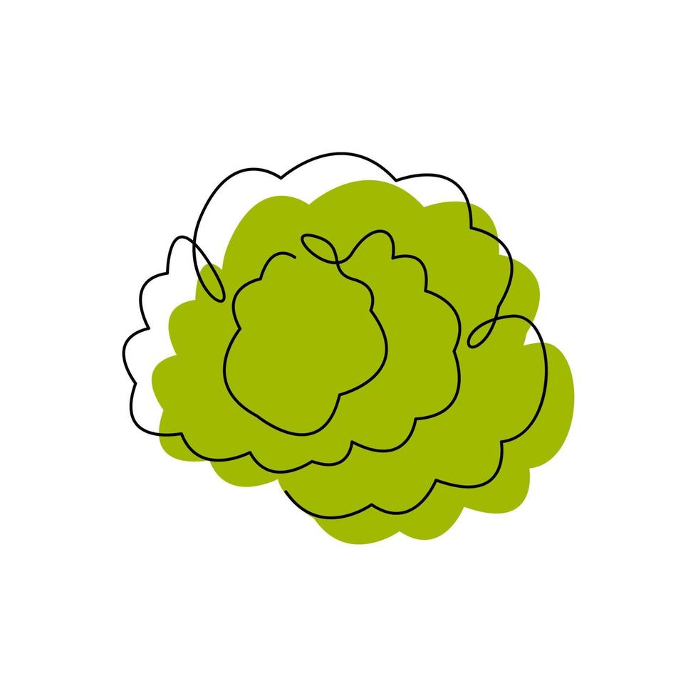 dibujo de contorno negro de coliflor con punto de color abstracto. silueta minimalista de repollo blanco. diseño de concepto vegetal continuo. ensalada verde dibujada a mano una línea ilustración vectorial plana aislada vector