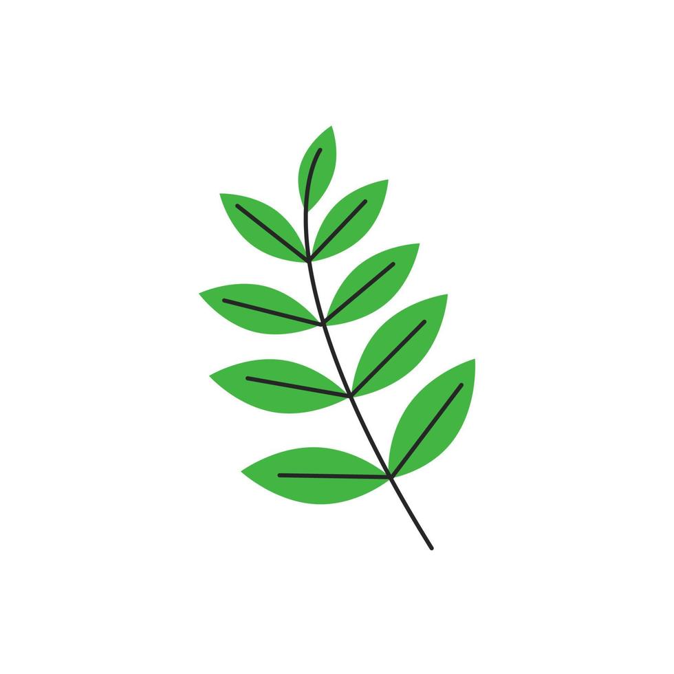 hojas verdes de otoño con venas. temporada de follaje de serbal de otoño. elemento botánico decorativo. simple silueta de rama de árbol de sorb único. ilustración vectorial plana dibujada a mano aislada sobre fondo blanco vector