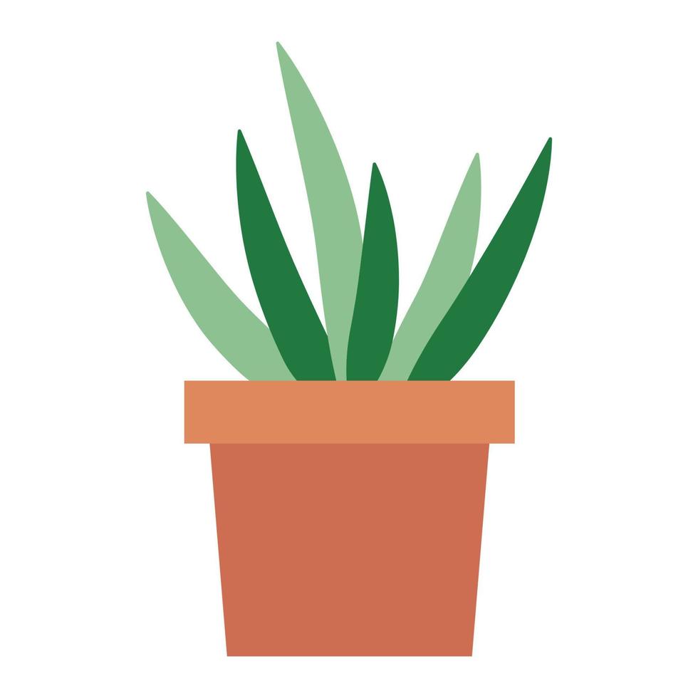 Plant in a Pot vector