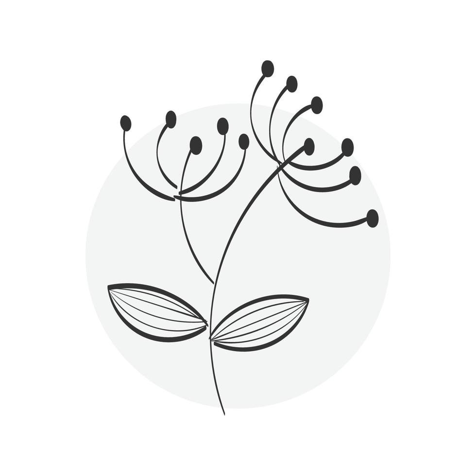 Flower drawing with line-art for print vector