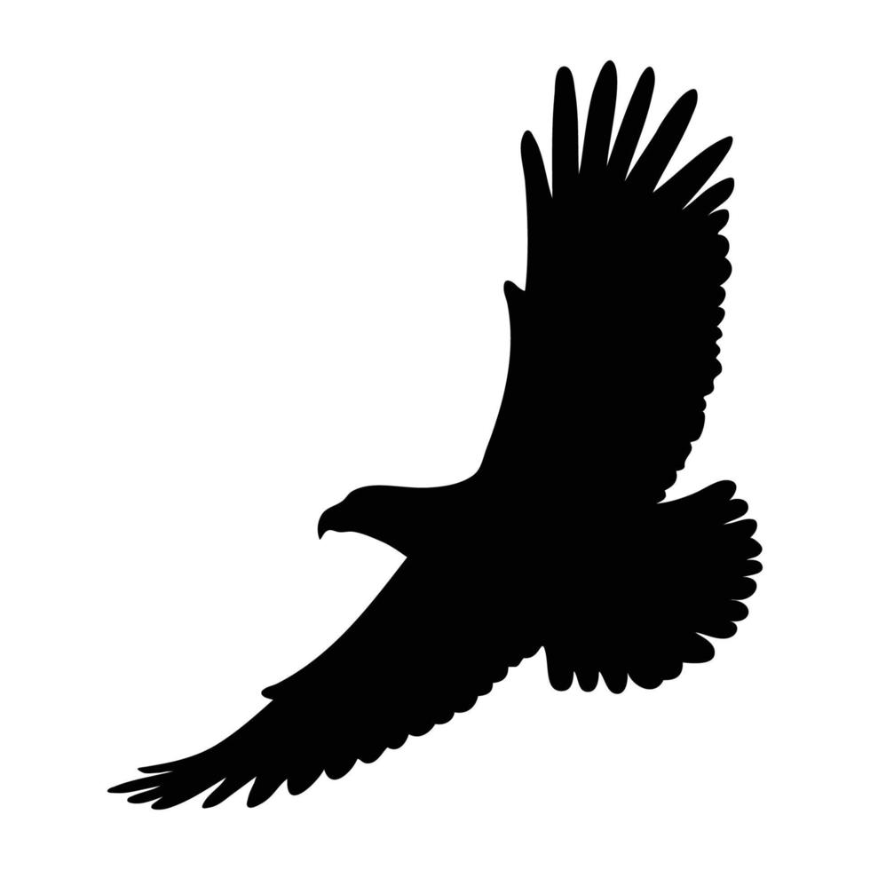silueta de un águila aislada en vector blanco