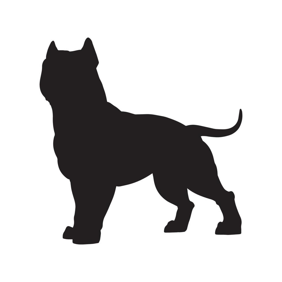 silhouette of pitbull vector white background