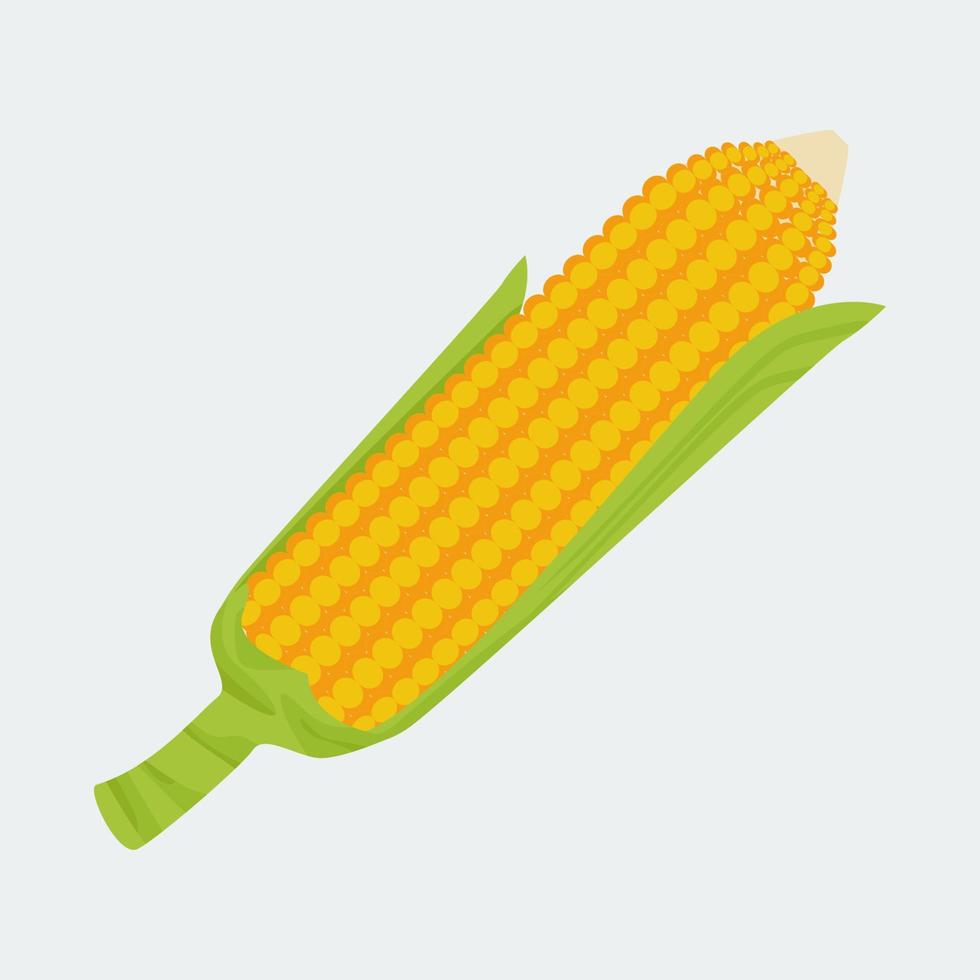 Editable Isolated Oblique Direction Corn Vector Illustration for Thanksgiving Day