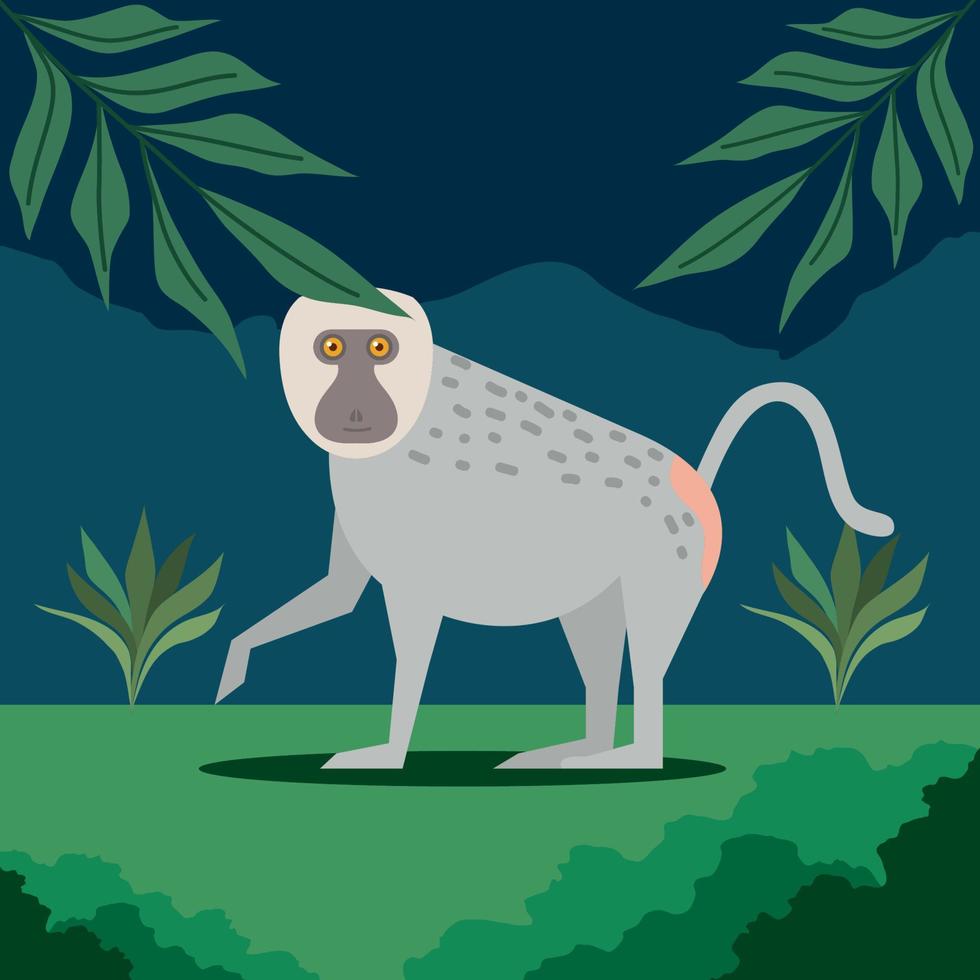 mono babuino y hojas vector
