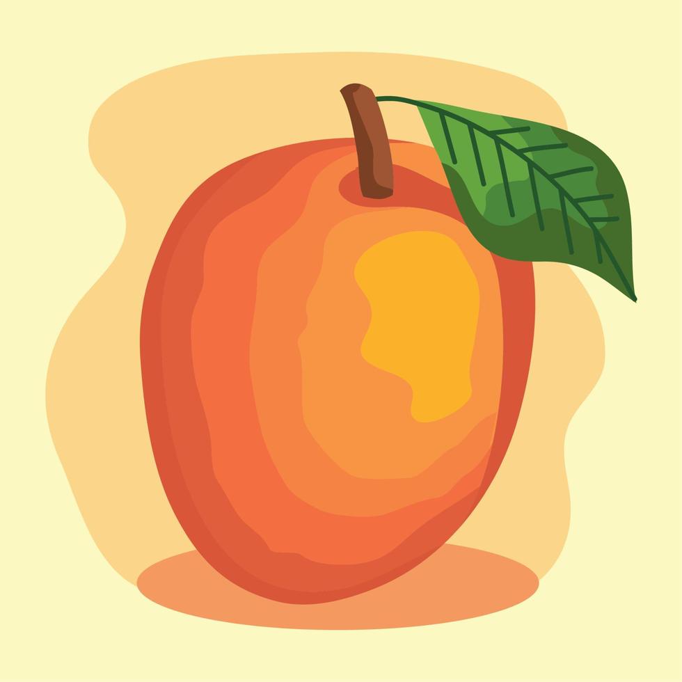 mango fresh fruit vector