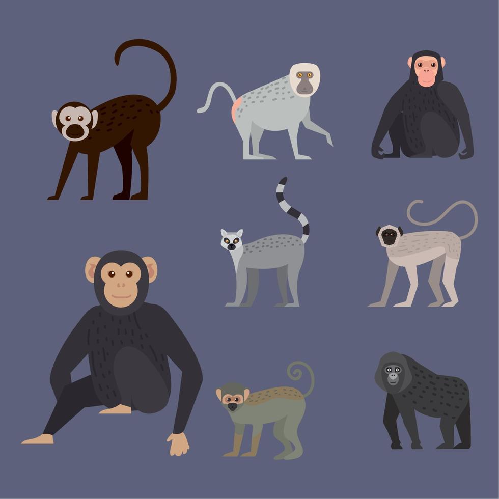 eight monkeys wildlife animals vector