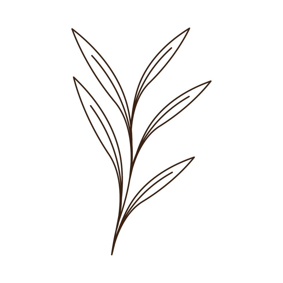 steam with leafs foliage vector