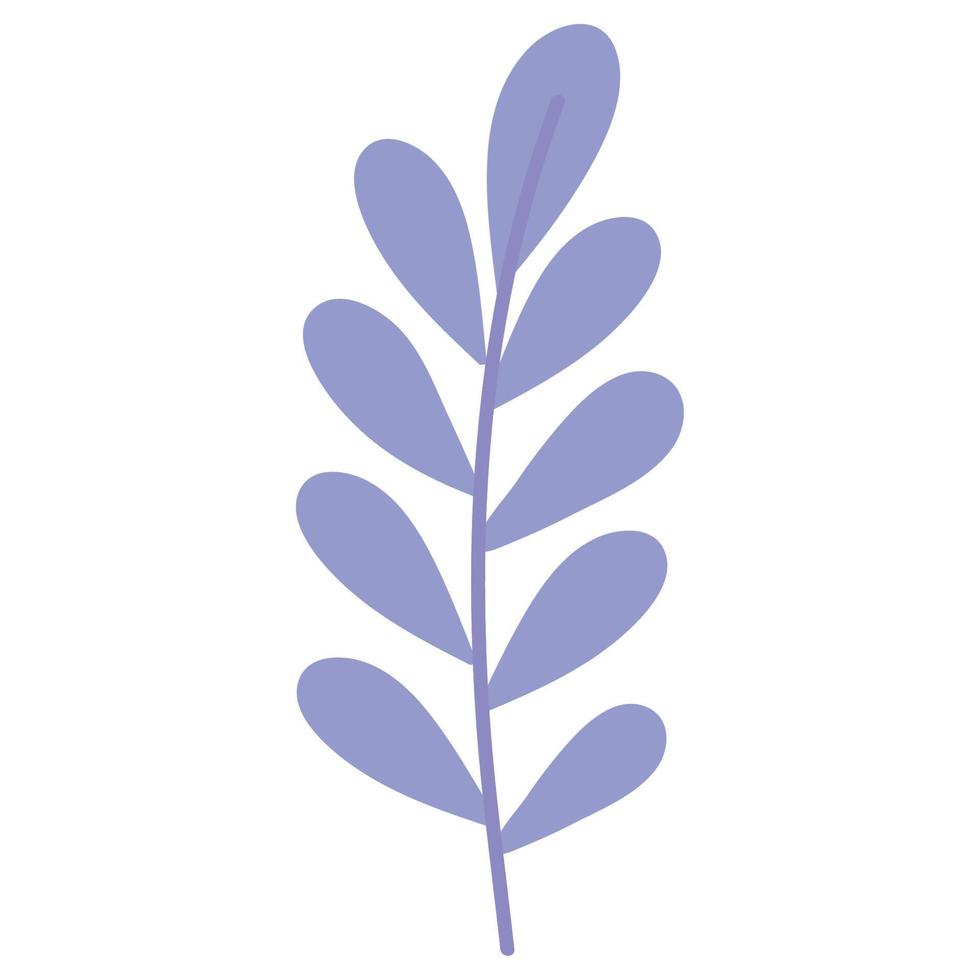 lilac branch with leafs vector