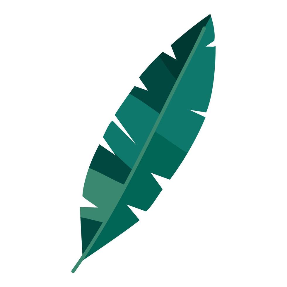leaf palm foliage vector