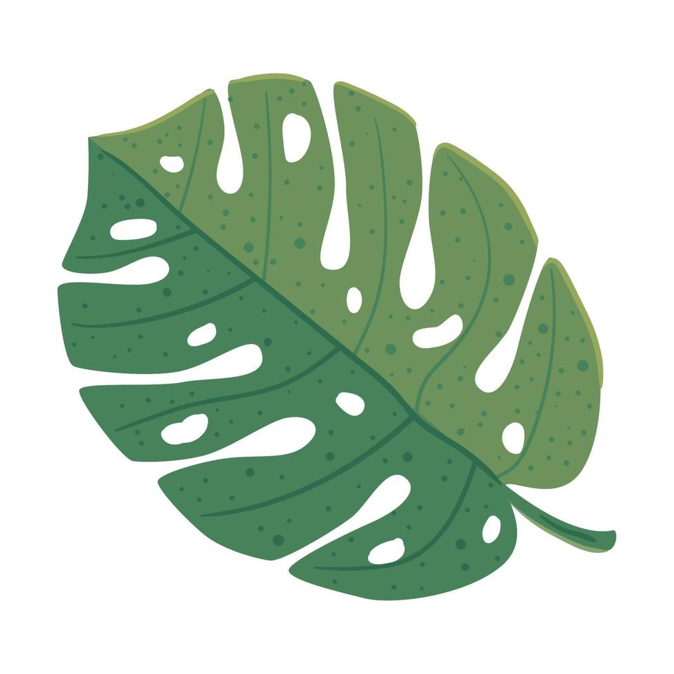 exotic leave foliage vector