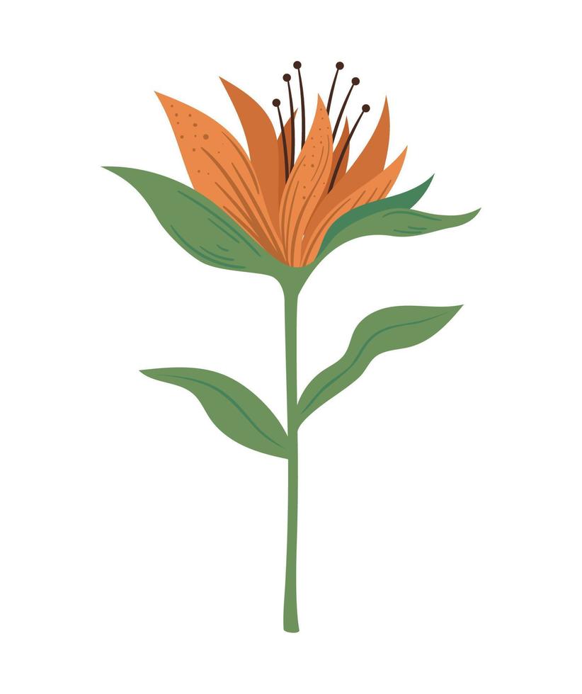 flor exótica color naranja vector