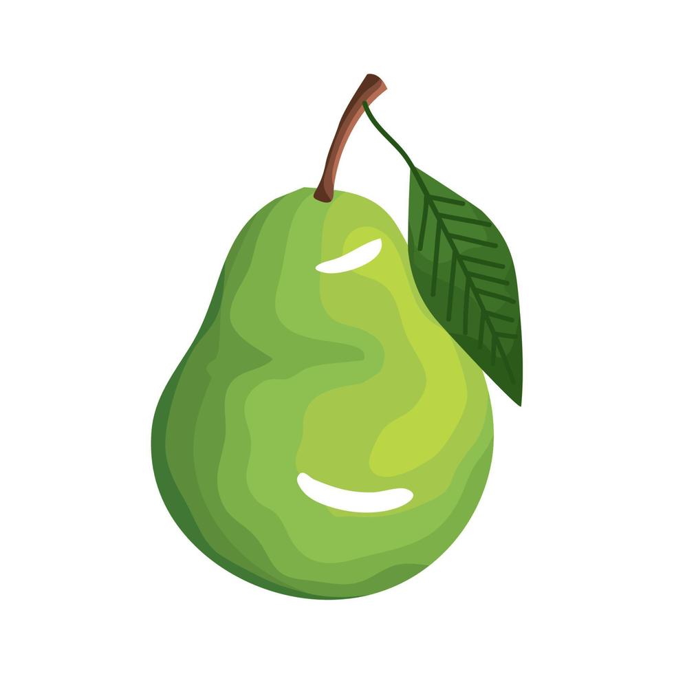 pear fresh fruit vector