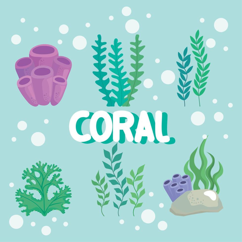 letras de coral y algas vector