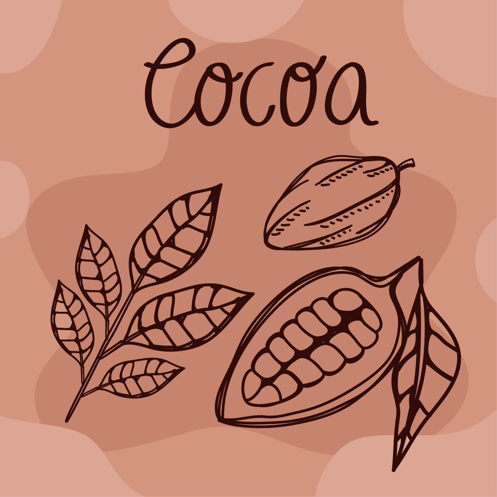 cocoa lettering with fruit vector