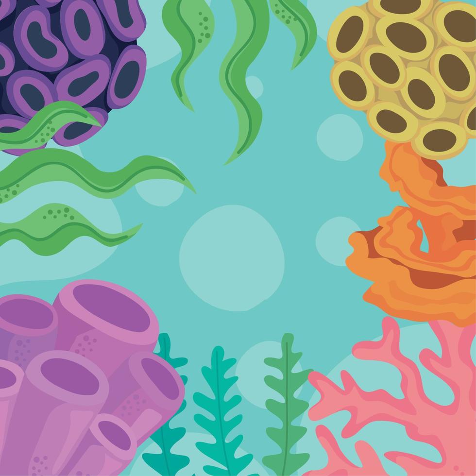 coral reefs frame vector