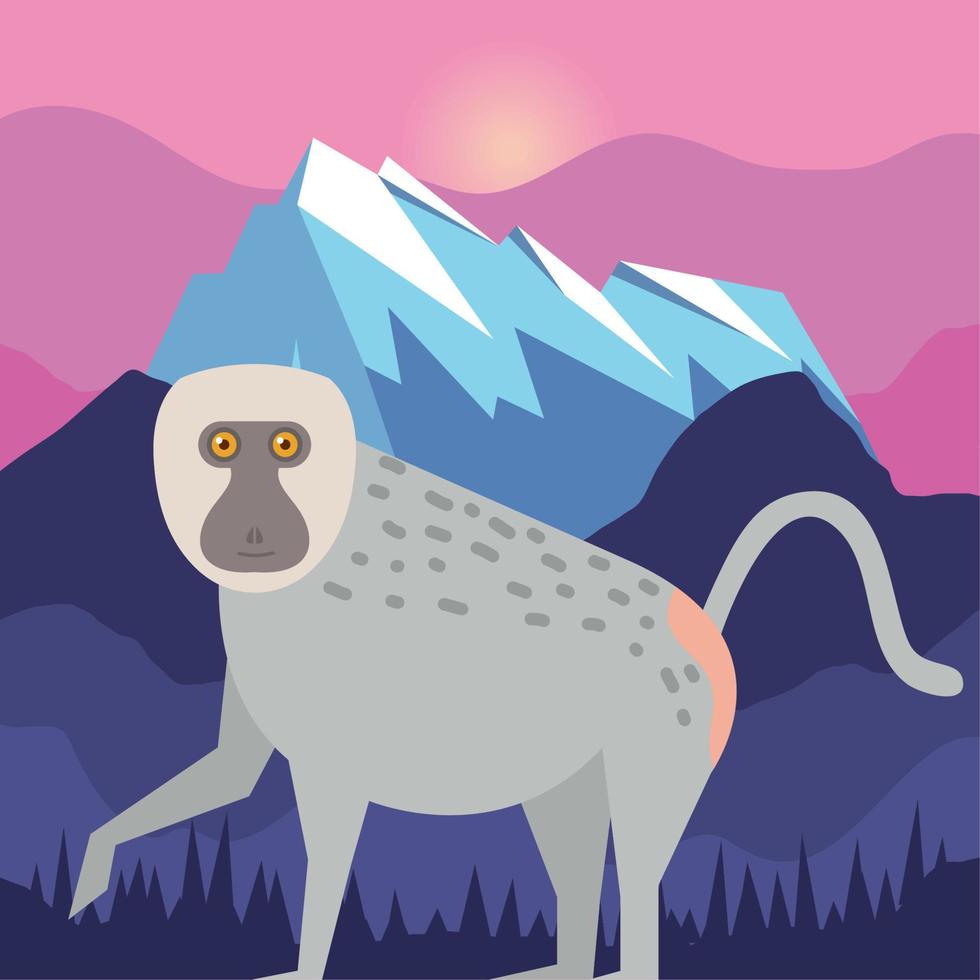 baboon monkey and mountain vector