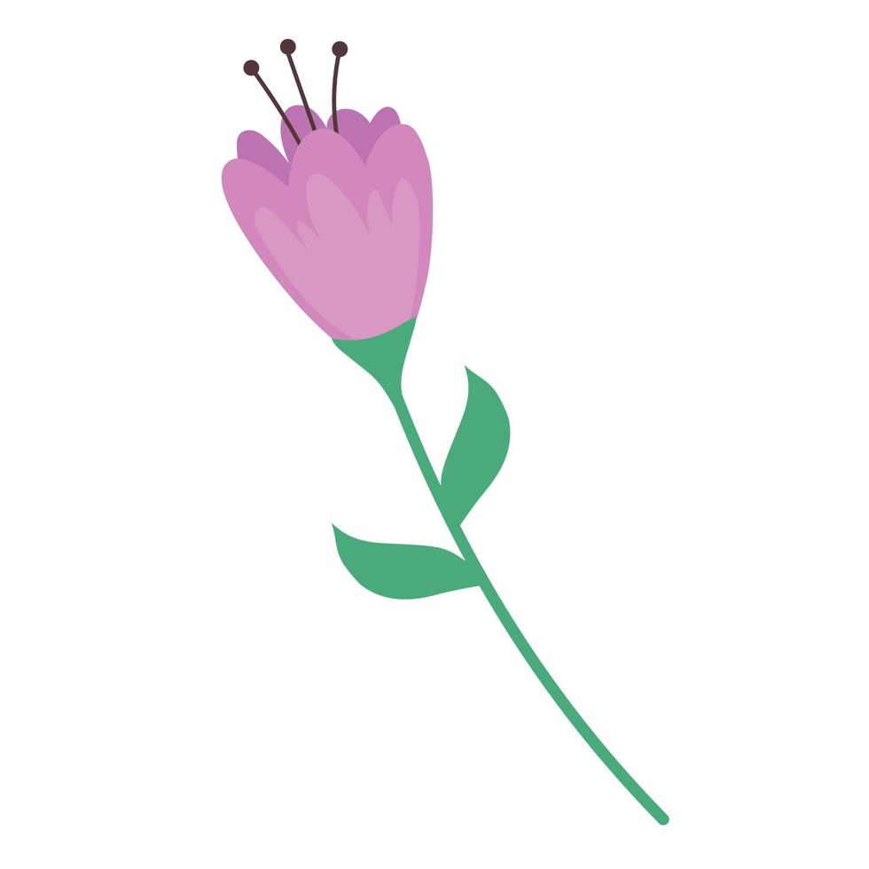 lilac flower garden vector