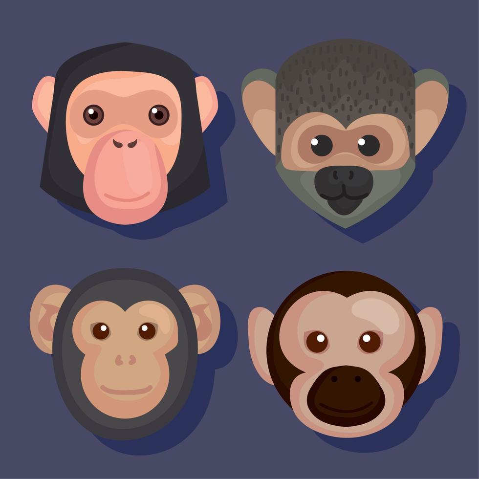 four monkey animals heads vector