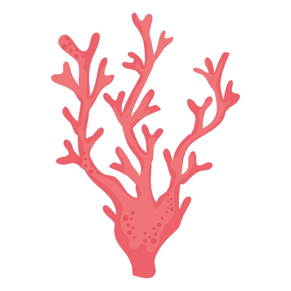 vida marina de algas rojas vector