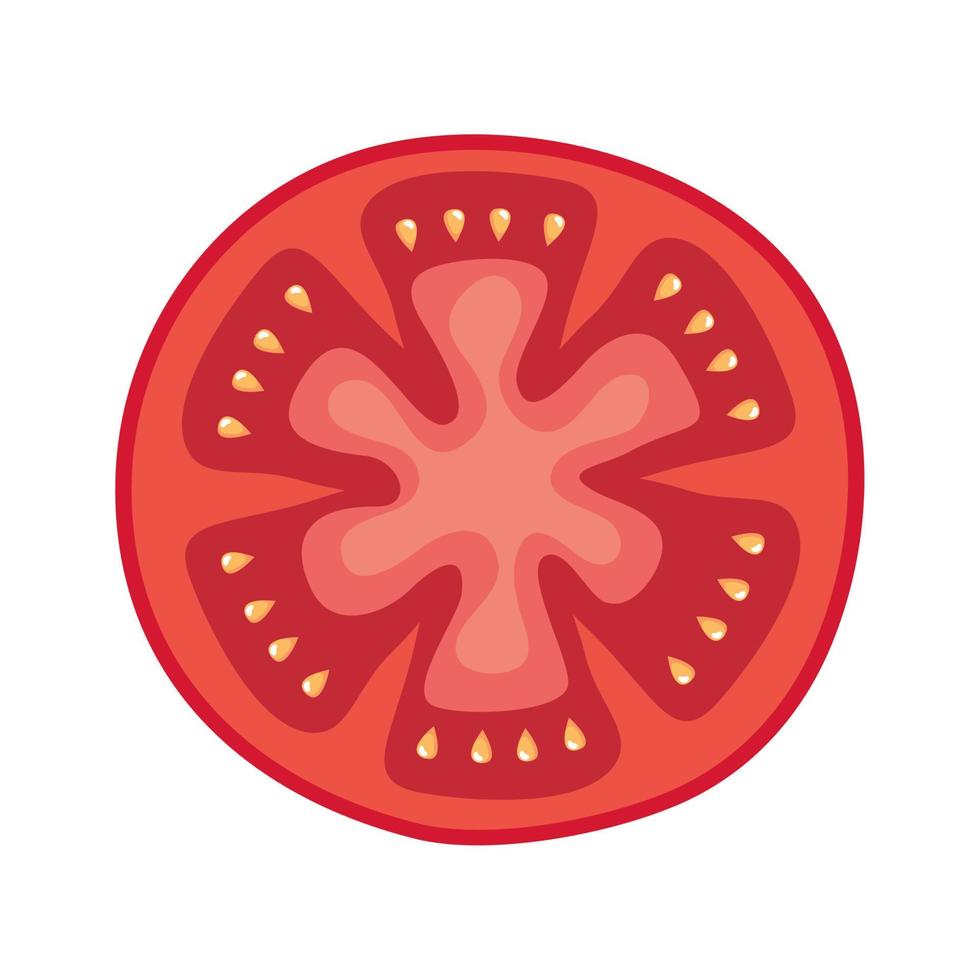 fresh tomate slice vegetable vector