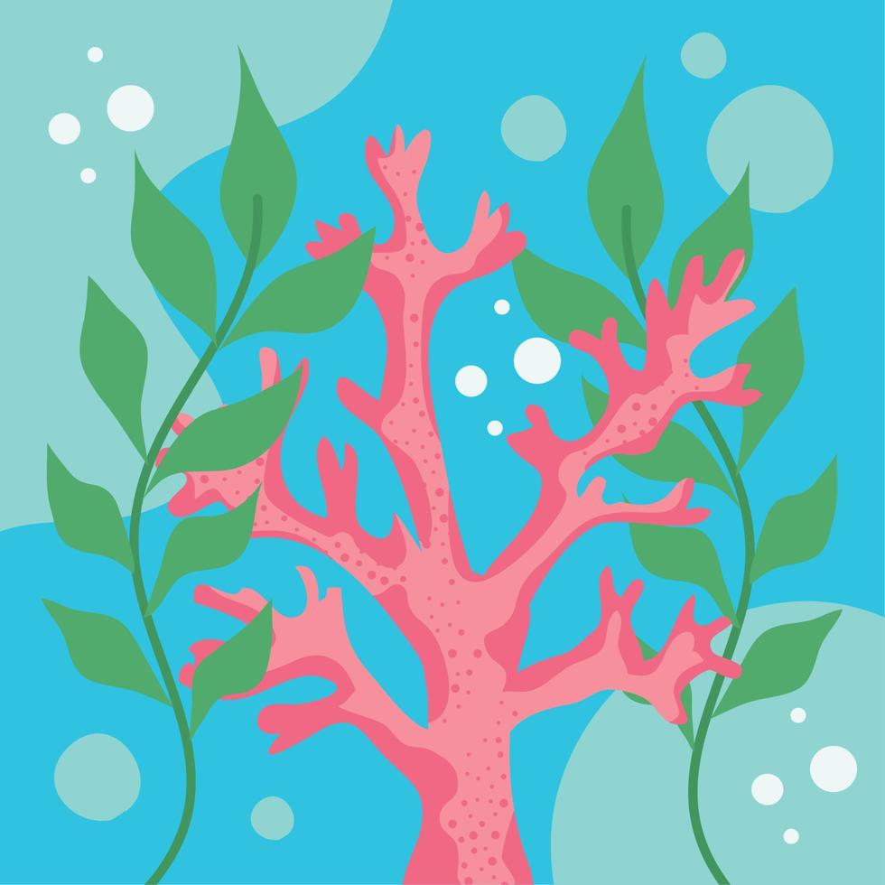 pink algae with seaweed vector
