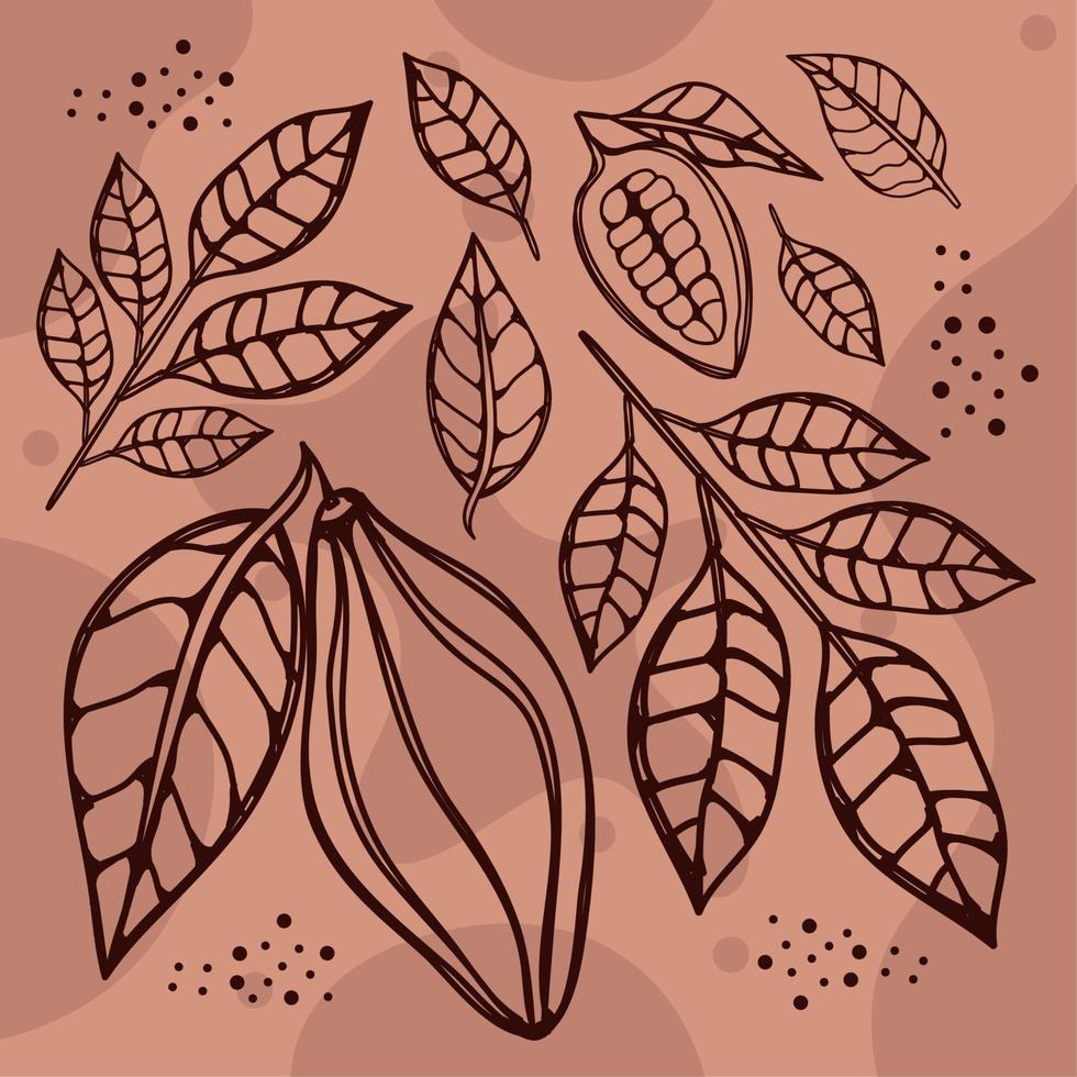 cocoa fruits and leafs vector