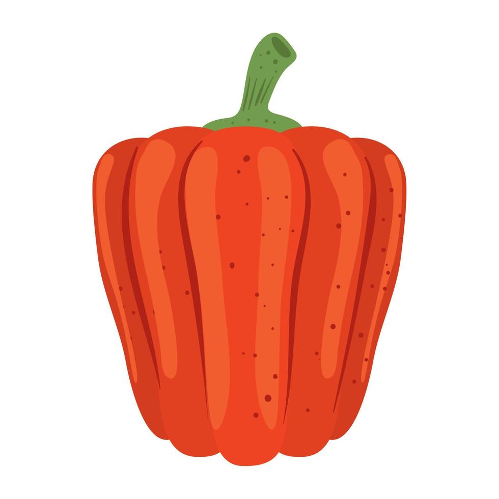 fresh pepper vegetable vector